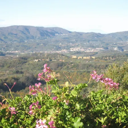 Agriturismo La Capitata-3
